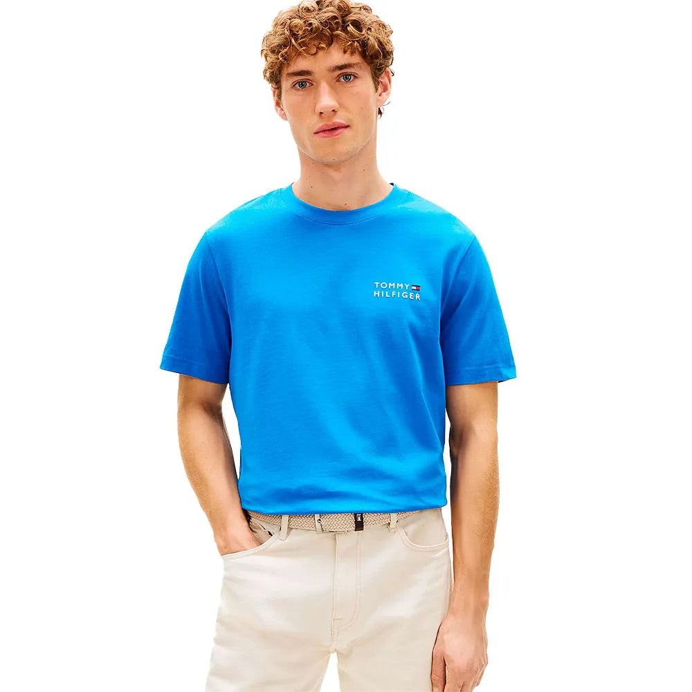 Tommy hilfiger Brand Love MW0MW42370 short sleeve T-shirt