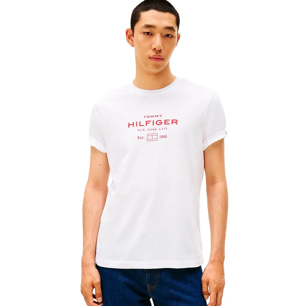 Tommy hilfiger Stack Graphic short sleeve T-shirt