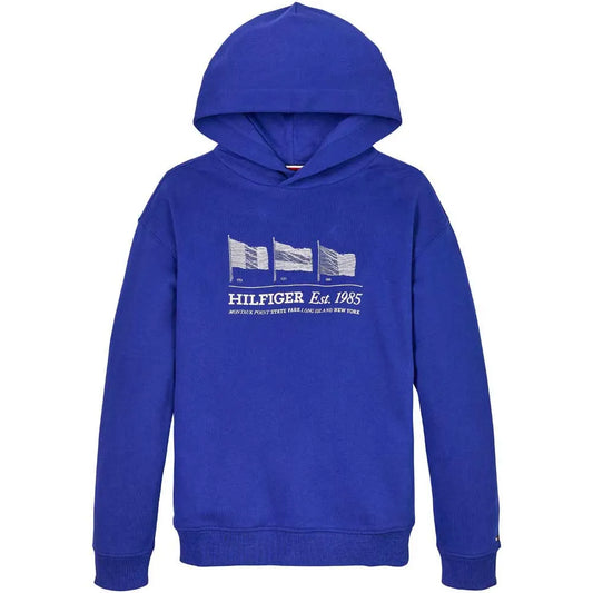 Tommy hilfiger Waving Flag hoodie