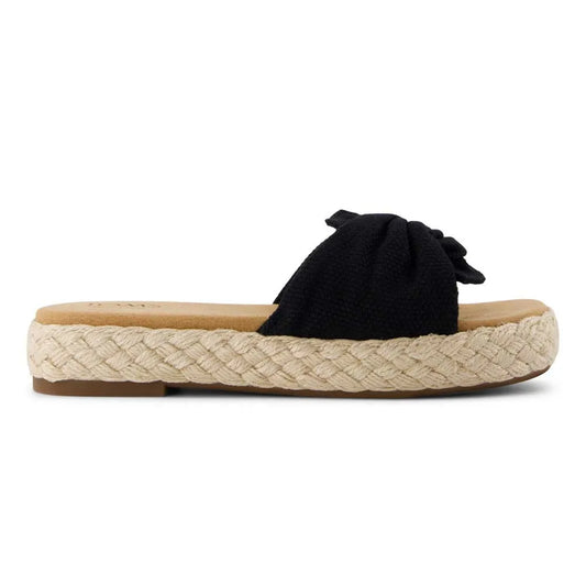 Toms Abby slides