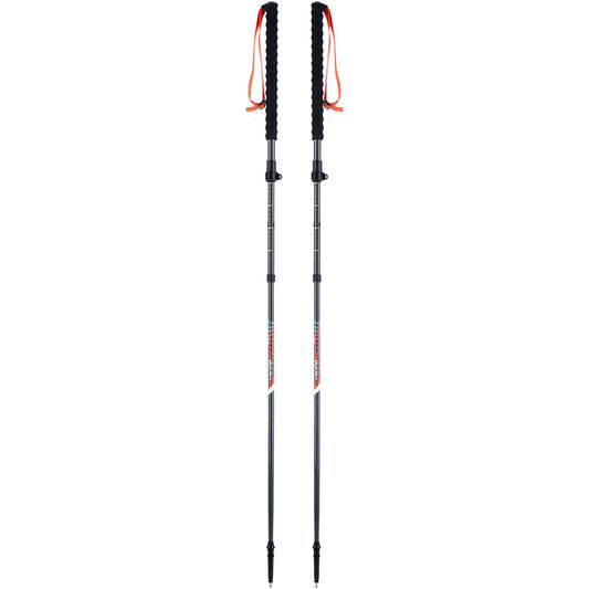 Viking Mission FS Skitouring poles