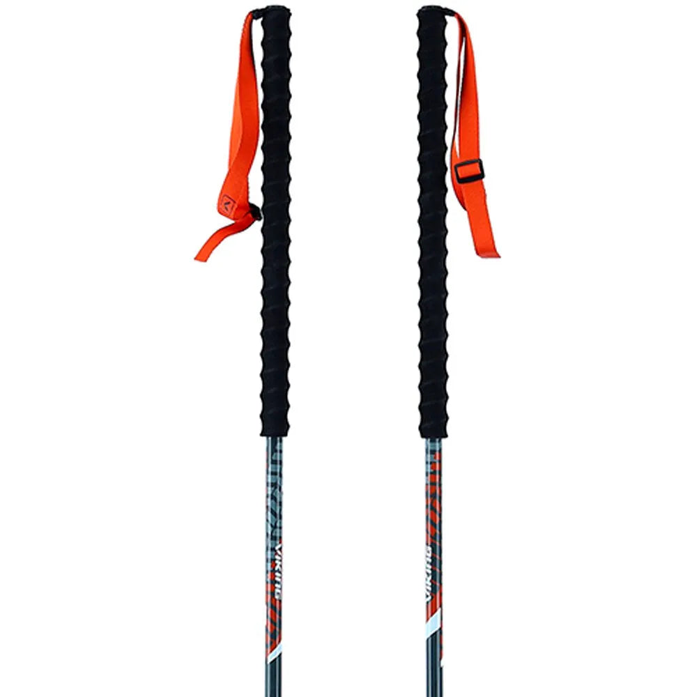 Viking Mission poles