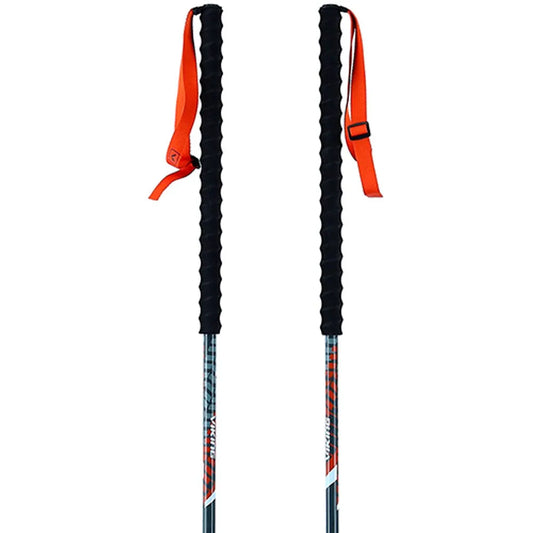 Viking Mission poles