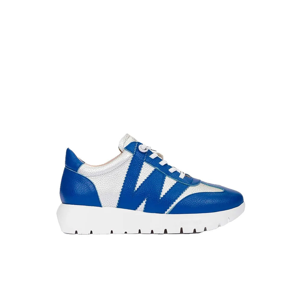 Wonders Odisei 76 trainers