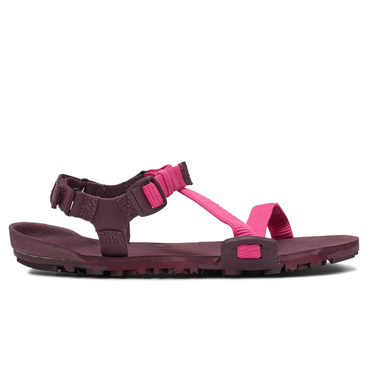 Xero shoes Z Trail EV sandals